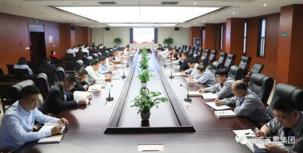 山东三星集团党总支组织开展 “学党史、强党性、廉自律、争先锋”主题教育活动